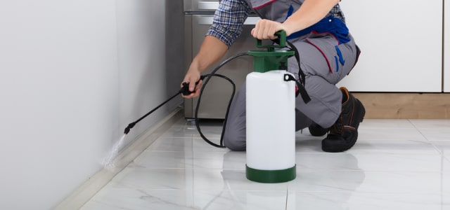 Exterminador de cinches en North Dakota